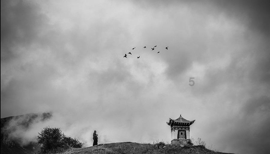 3个月宝宝发烧吃什么药-专业有问必答平台,快速解决你的问题