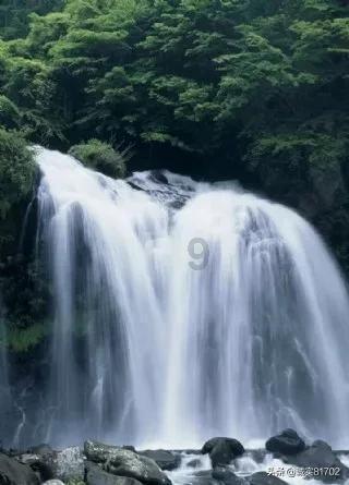 17.6度橙子是什么意思