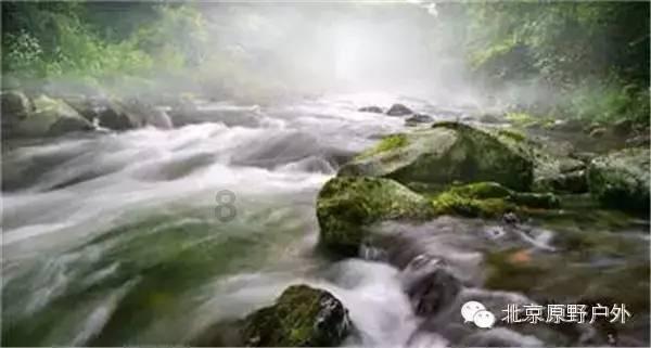 探索奇闻异事|男生追女生不追了,女生会怎么想?冷知识平台